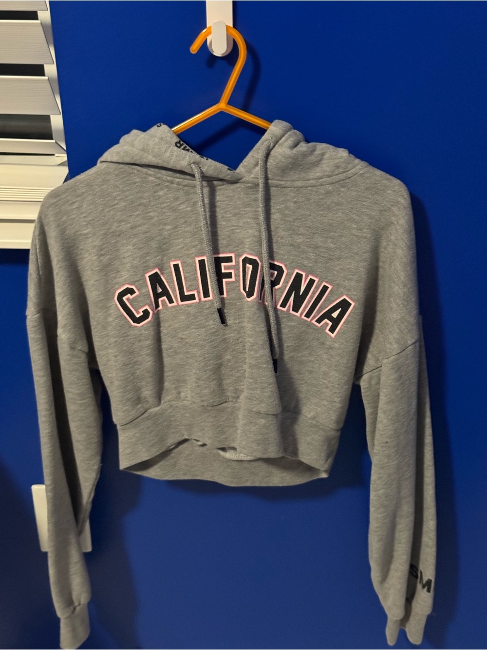 California Cropped Hoodie - Gray